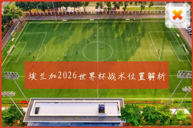 埃兰加2026世界杯战术位置解析