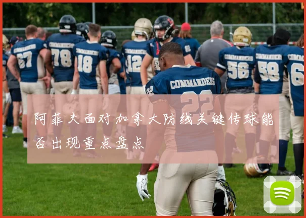 阿菲夫面对加拿大防线关键传球能否出现重点盘点
