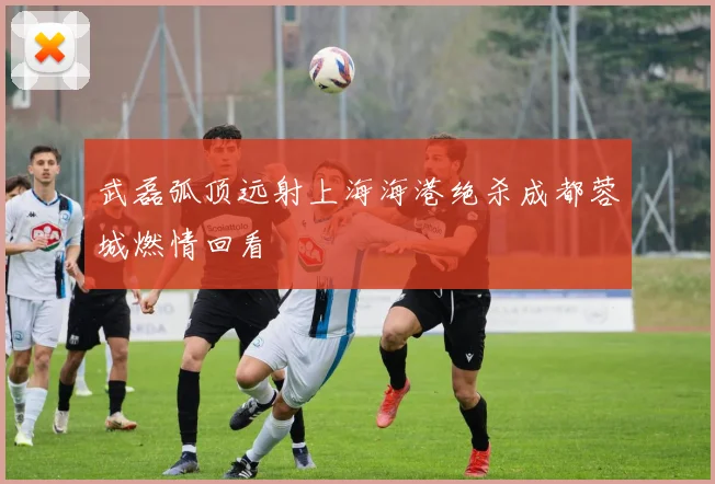 武磊弧顶远射上海海港绝杀成都蓉城燃情回看