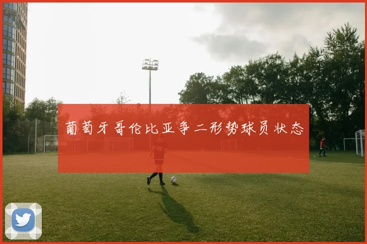 葡萄牙哥伦比亚争二形势球员状态