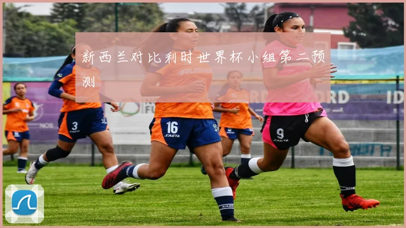 新西兰对比利时世界杯小组第二预测