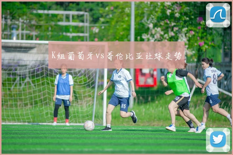 K组葡萄牙vs哥伦比亚让球走势