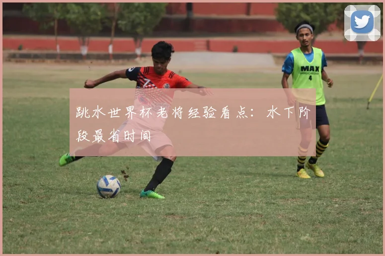跳水世界杯老将经验看点:水下阶段最省时间