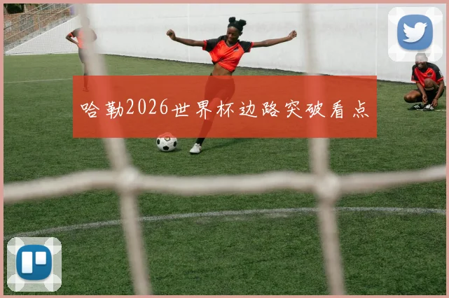 哈勒2026世界杯边路突破看点
