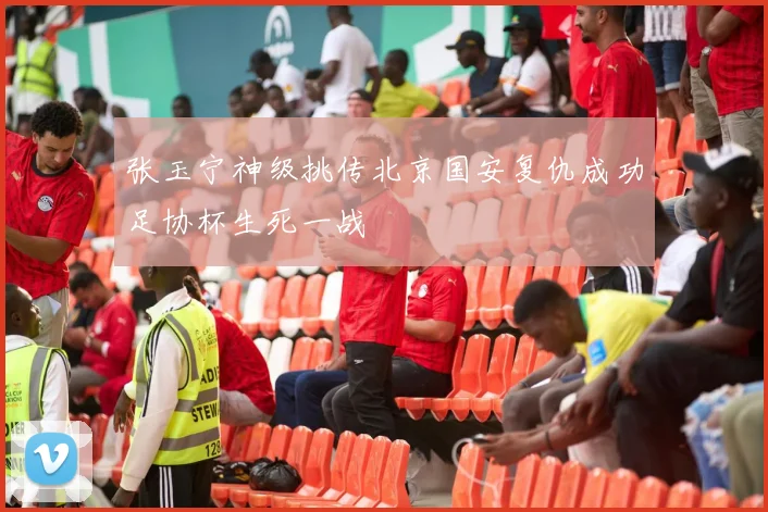 张玉宁神级挑传北京国安复仇成功足协杯生死一战