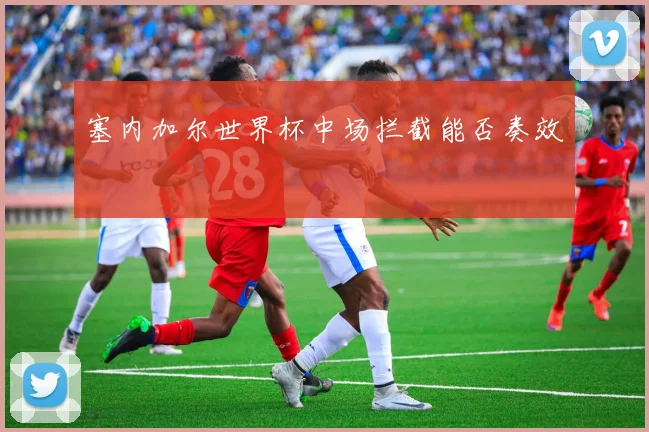 塞内加尔世界杯中场拦截能否奏效